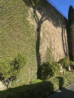 Vatikanische Gärten