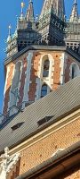 Trompeter vom Turmfenster der Marienkirche