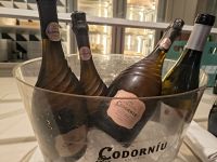 Codorniu - der Cava aus der Region