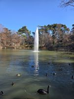 Teich am Kristallpalast im Retiro Park Madrid