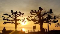 Sonnenuntergang am Neujahrstag in Friedrichshafen (Reise: Silvester am Bodensee).