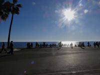 Am Palmenboulevard von Nizza