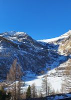 039 Fahrt mit dem Bernina Express - Piz Palü mit Palügletscher