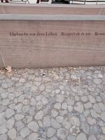 Erfurcht vor dem Leben