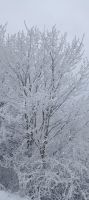 Winterstimmung