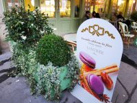 30.12.2024 Spaziergang im 6. Arrondissement