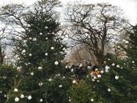 31.12.2024 Entdeckerspaziergang Montmartre 