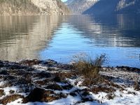 Königsee