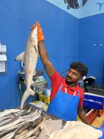 Fischmarkt in Al Khor