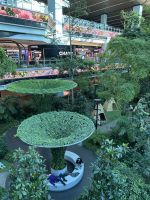 Abschied von Doha - Hamad Int. Airport