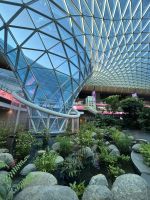 Abschied von Doha - Hamad Int. Airport