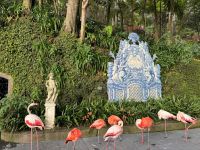Monte Palace Madeira Botanischer Garten