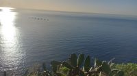 Morgendlicher Ausflug Madeira Silvester