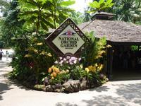 Im Botanischen Garten