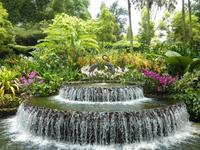 Im Botanischen Garten