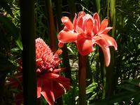 Im Botanischen Garten