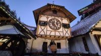 Größe Kuckucksuhr der Welt