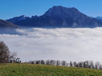 Panoramablick zum Traunstein