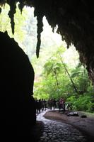 Cueva del Guacharo
