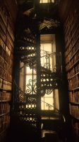 66 - The Long Room im Trinity College in Dublin