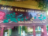 Schmetterlingsgarten