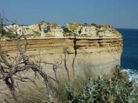 Razorback - die Rasierklinge