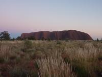 Sonnenaufgang am Uluru