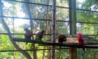 Vogelpark 