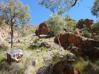 Auf dem Weg zu Standley Chasm