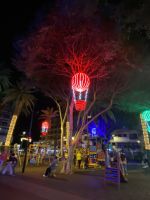 Abendstimmung Puerto de la Cruz