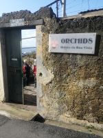 auf Patrick´s Quinta do Boa Vista (Orchideen Garten) 