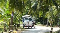 Tagesausflug ins Mekong Delta (1)