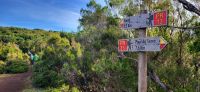5 Wanderung Fanal 3,2 km
