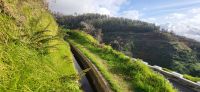 27 Wanderung Faja da Ovelha