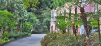 106 Quinta Vigia Madeira
