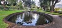 107 Quinta Vigia Madeira