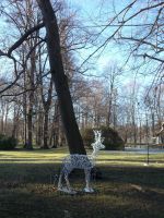 DSCN9610.JPG