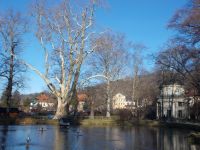 DSCN9611.JPG  engl.Pavilon