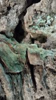 Cueva de los Verdes