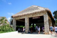 Ausflug zur Maya-Stätte Tulum in Mexiko