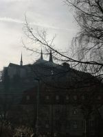 Blick auf den Bamberger Dom
