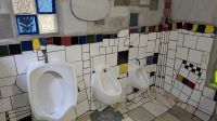 20241220_3 im Kloo.jpg