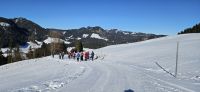 Wanderung auf der Rodelbahn nach Schwand