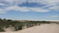 Namibia - Pirschfahrt im Etosha