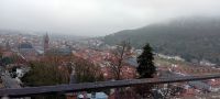 Blick auf Heidelberg