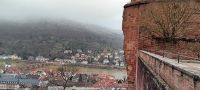 Blick von der Burgruine auf den Neckar