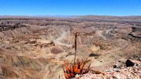 Namibia - Ausflug zum Fish River Canyon