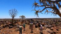 Namibia - Köcherbäume und Bauklötzer der Riesen