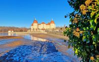 Schloss Moritzburg 2