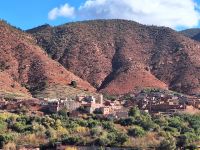 warme Erdfarben, 20241231_120426.jpg